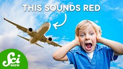 We All Have Synesthesia Instructional Video