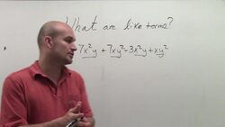 What are like terms Instructional Video