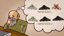 Quien fue el primer ser humano? Instructional Video