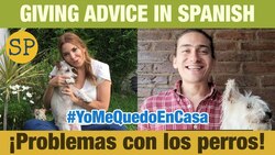 Giving Advice in Spanish | Problems with Dogs | Dar consejos Instructional Video