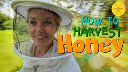 How to Harvest Honey! | Beekeeping with Maddie #12 Instructional Video