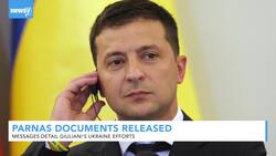 Parnas' Texts And Letters Highlight Giuliani Ukraine Efforts News Clip