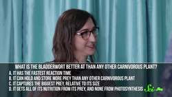 SciShow Quiz Show: Olivia vs Hank Instructional Video