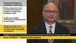 Mandatory minimum penalties 'just don't work,' says justice minister News Clip