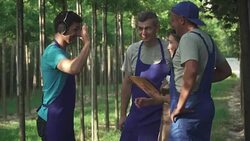 Gardeners look at the tablet and talk Stock Footage