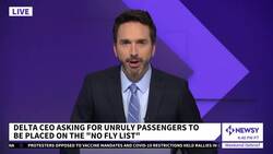 Delta Asks DOJ To Put Unruly Passengers On No-Fly List News Clip