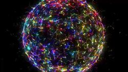 Earth Globe with plexus connected lines Stock Footage