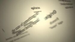 Definition: Egalitarian Stock Footage