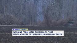 Downed power line sparked New Jersey's first major wildfire of 2025 News Clip