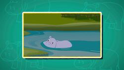 I WONDER - How Fast Can Hippos Run? Instructional Video