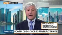Idea of Multiple Hikes Next Year Needed to Be Dialed Back, Says Morgan Stanley's Kushma News Clip