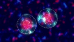 High Five Facts - DNA Instructional Video