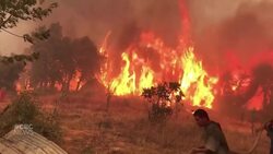 Algerians watching and fighting as wildfires spread News Clip