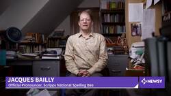 Three Questions With The Bee Master: The Man Behind The Words News Clip