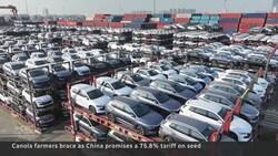 China imposes new duty on Canadian canola News Clip