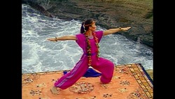 CATS AND FISH Instructional Video