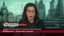 3 more grain ships depart from Ukraine's Black Sea ports News Clip