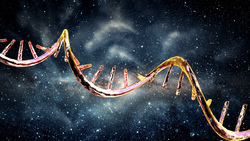Your DNA's Codes Are (Probably) From Outer Space Instructional Video