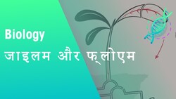 जाइलम और फ्लोएम: पौधों में परिवहन | पौधे | जीवविज्ञान | FuseSchool Hindi Instructional Video