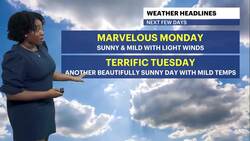 Mild and sunny with today for Brooklyn; temps cool down by midweek News Clip
