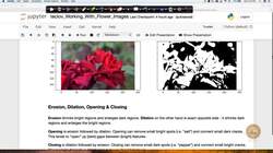 Evaluate the impact of an AI application used in the real world. (case study) : Working with Flower Images: Case Study - Part 2 Instructional Video