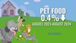 People are giving up pets due to costs: How to keep those expenses down News Clip