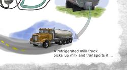 The Merits of Milk Instructional Video