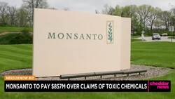 Monsanto to Pay $857 Million Over Claims of Toxic Chemicals News Clip