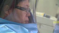 Canadian scientist sent deadly viruses to Wuhan lab months before RCMP asked to investigate News Clip