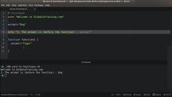 Bash Shell Scripting - Variables in Functions (Local Variables) Instructional Video