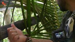 Tiny Monkeys LOVE Marshmallows! Instructional Video