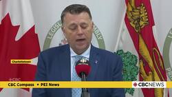 Trump's tariffs could reverberate throughout the whole P.E.I. economy, premier says News Clip