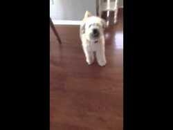 Are you scared yet? Instructional Video