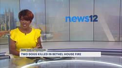 Officials: 2 dogs killed in Bethel house fire News Clip