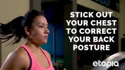 Correct use of the treadmill. Instructional Video