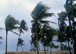 Hurricanes Instructional Video