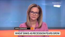 European Equities, Wheat Prices, Iron Ore: 3-Minute MLIV News Clip