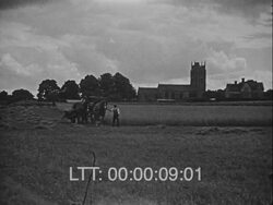 Horse-driven Plough. Stock Footage