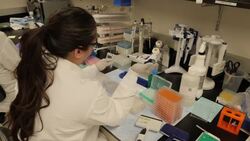 Scientists working in a Novavax coronavirus vaccine lab News Clip