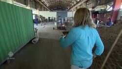 Bronze bull a symbol of Canada-Cuba relations News Clip