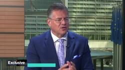 EU's Sefcovic on Joint Gas Buying, Raw Materials, China News Clip