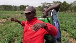 Honey price spirals as  Rwanda's bees disappear Instructional Video