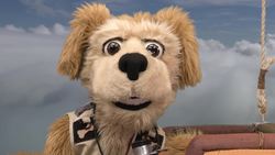 Animal Alphabet: G is for Gannet Instructional Video