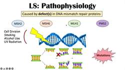 Lynch Syndrome (Hereditary Non-Polyposis Colorectal Cancer) Genetics, Symptoms, Diagnosis, Treatment Instructional Video