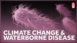 Climate Change and Safe Drinking Water Instructional Video