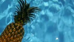 Pineapple Floating In blue Water In Swimming Pool. Healthy Raw Organic Food. Juicy Fruit. Vegetarian, Vegan Nutrition, Vitamins, Diet, summer holidays, vacation concepts. Exotic tropical background Stock Footage