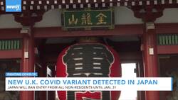Japan Bans Most Foreign Arrivals After U.K. COVID Variant Detected News Clip