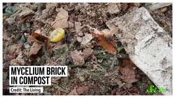 Bone Cities, Ash Towers, and 4 Other Futuristic Buildings Instructional Video