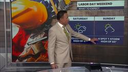 Mix of sun and clouds lead to scattered showers overnight in Brooklyn News Clip