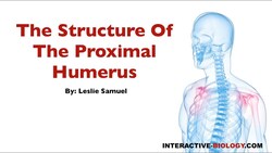 076 The Structure Of The Proximal Humerus Instructional Video